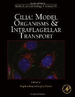 Cilia and Flagella, Part C