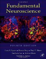 Fundamental Neuroscience