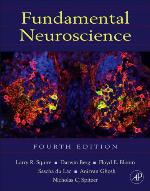 Fundamental Neuroscience