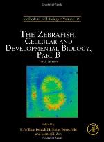 The Zebrafish