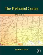 The Prefrontal Cortex