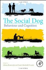 The Social Dog