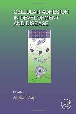 Current topics in developmental biology. Volume 112 Cellular adhesion in development and disease
