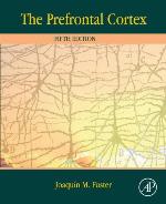 The prefrontal cortex