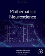 Mathematical Neuroscience