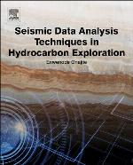 Seismic Data Analysis Techniques in Hydrocarbon Exploration