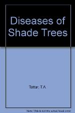 Diseases Of Shade Trees