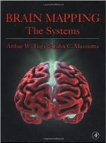 Brain Mapping