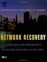 Network Recovery