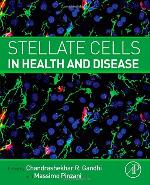 Stellate cells in health and disease