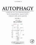 Autophagy