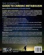 The Scientist's Guide to Cardiac Metabolism