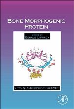 Bone morphogenic protein.
