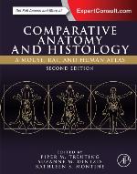 Comparative Anatomy and Histology
