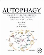 Autophagy : Cancer.