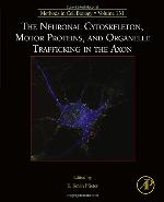 The Neuronal Cytoskeleton, Motor Proteins, and Organelle Trafficking in the Axon, 131