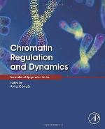 Chromatin regulation and dynamics
