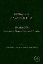 Intermediate Filament Associated Proteins, 569