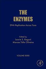 The enzymes. Volume 39, DNA replication across taxa