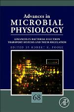 Advances in bacterial electron transport systems and their regulation