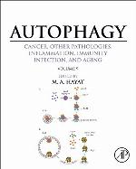 Autophagy : Cancer.