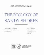 The Ecology of Sandy Shores
