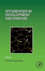 Myogenesis in development and disease