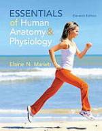 Essentials of Human Anatomy &amp; Physiology