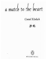 A Match to the Heart: One Woman's Story of Being Struck By Lightning