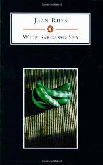 Wide Sargasso Sea