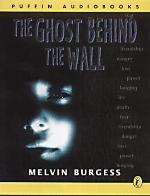The Ghost Behind the Wall