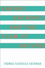 Energy, Entropy, and the Flow of Nature