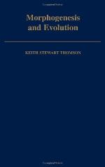 Morphogenesis and Evolution