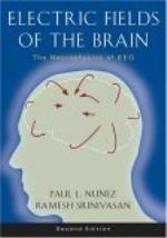 Electric Fields of the Brain