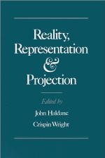 Reality, Representation, and Projection