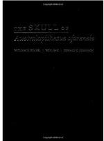 The Skull of Australopithecus Afarensis