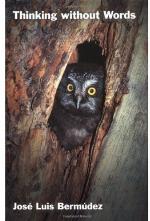 Thinking Without Words