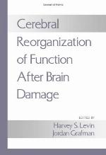 Cerebral Reorganization of Function After Brain Damage