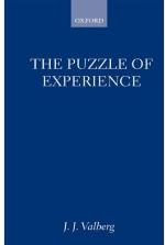 The Puzzle of Experience