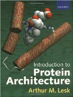 Introduction to Protein Architecture