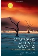 Catastrophes And Lesser Calamities