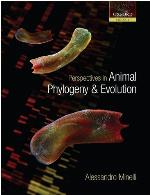 Perspectives in Animal Phylogeny and Evolution