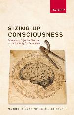 Sizing Up Consciousness