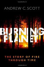 Burning Planet