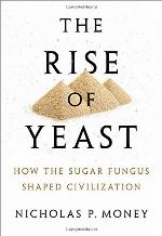 The Rise of Yeast