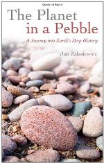 The Planet in a Pebble