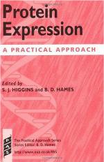 Protein Expression