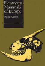 Geography and Retailing