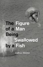 The Figure of a Man Being Swallowed by a Fish