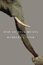 How Animals Grieve